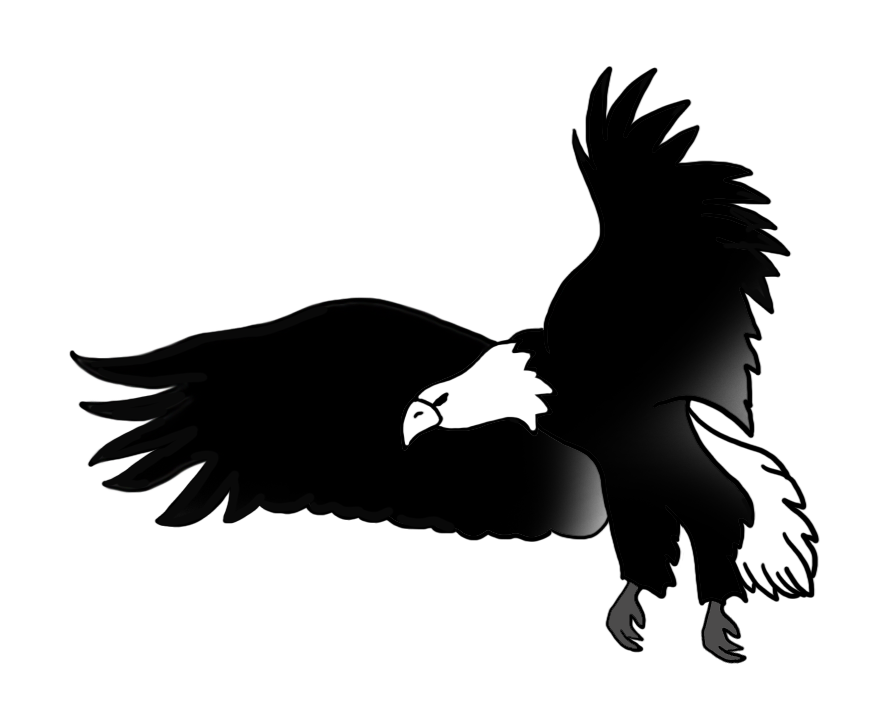 Transparentes Bild fliegender Adler