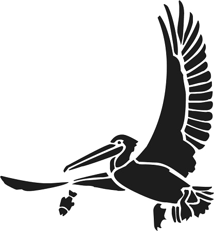 Flying Pelican PNG Gambar berkualitas tinggi
