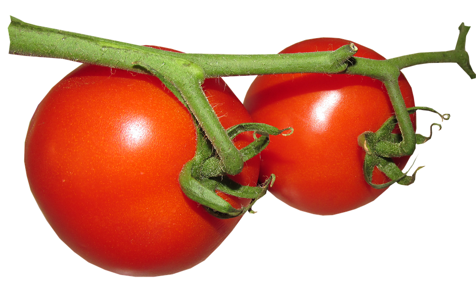 Image de PNG sans tomate fraîche