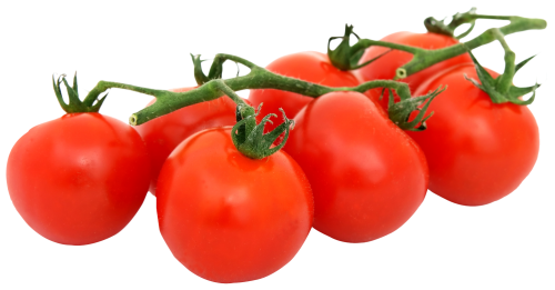 Verse tomaat PNG hoogwaardige Afbeelding