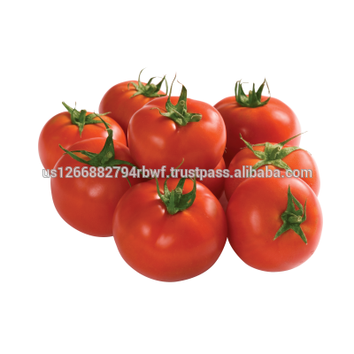 Pic PNG de tomate fraîche