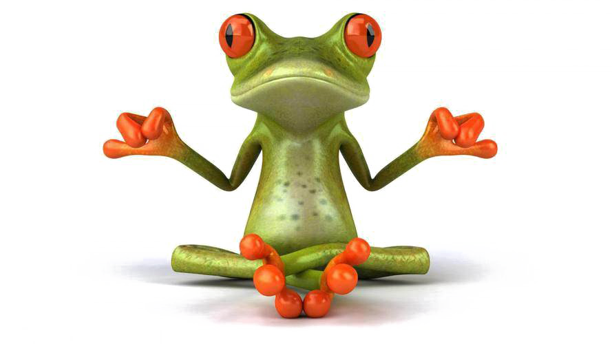 Frog PNG Transparent Image