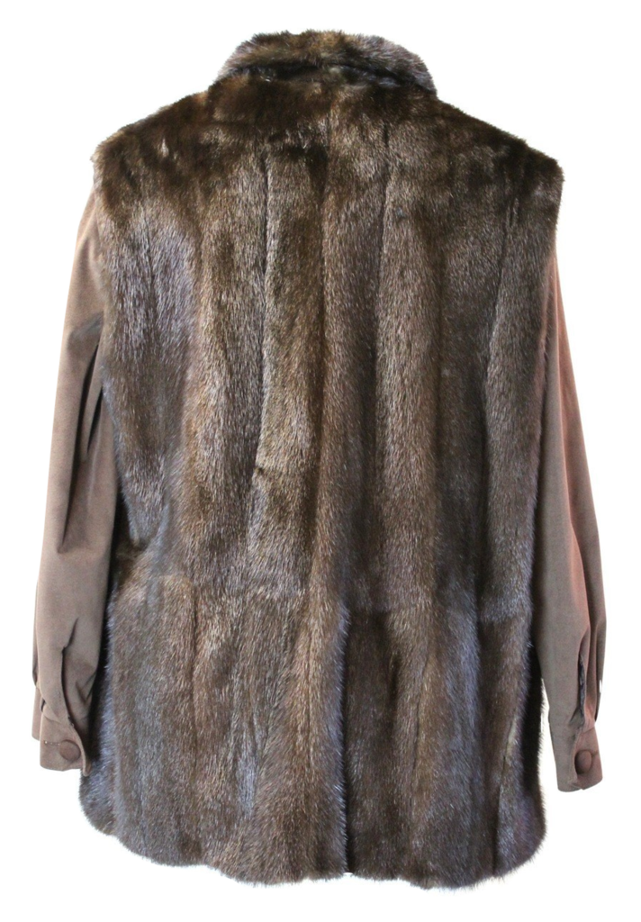 Manteau de fourrure PNG image