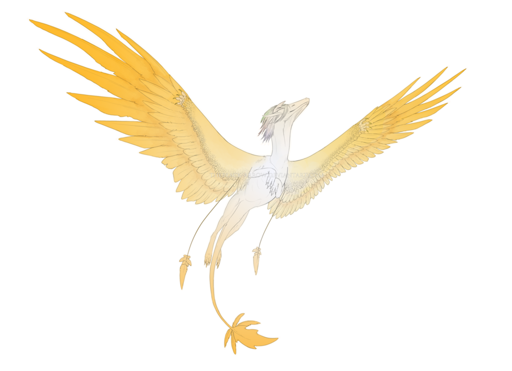 Golden Wings PNG Download Image