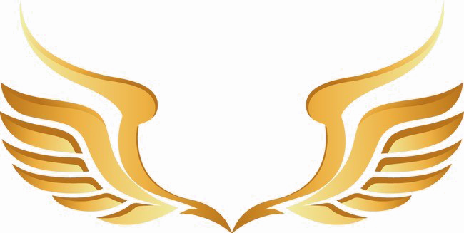 Golden Wings PNG Image Background