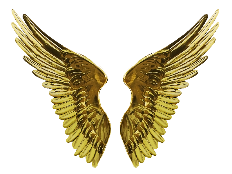 Goldenes Wings PNG-Bild