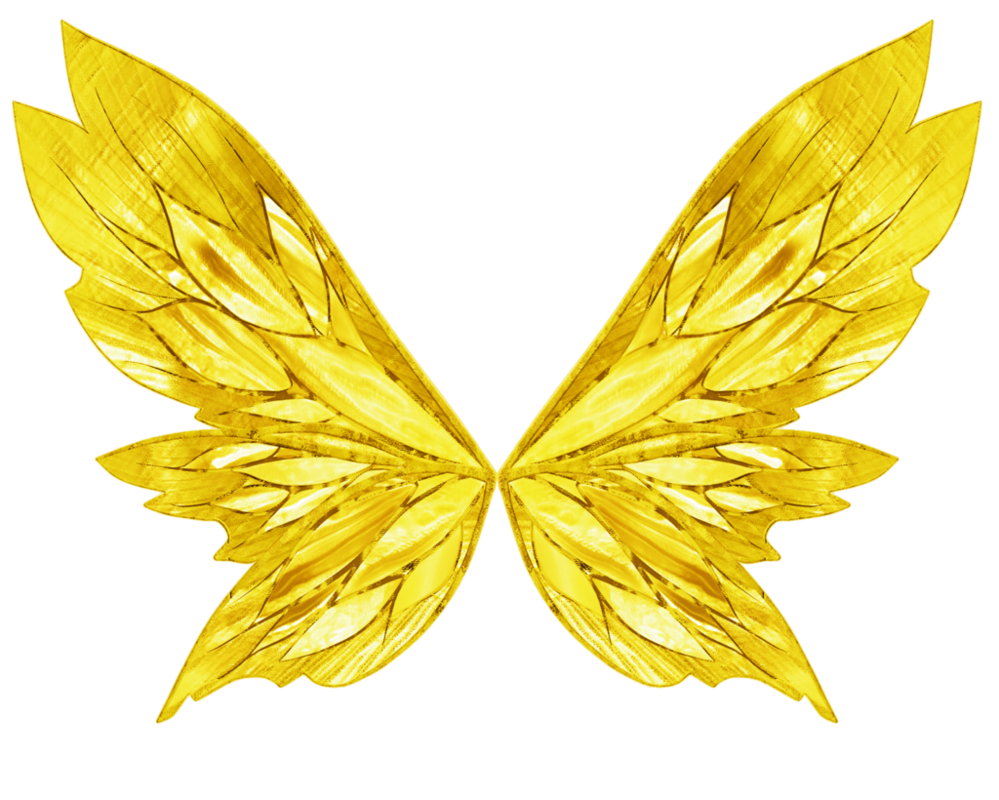 황금 날개 PNG 그림