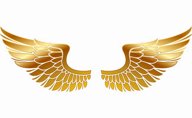 황금 날개 PNG 투명 이미지
