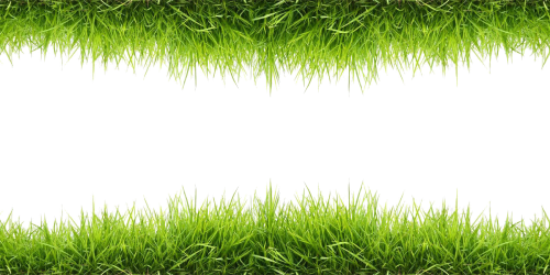 Gambar PNG rumput hijau Gratis