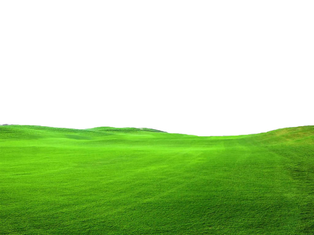 Green Grass PNG High-Quality Image
