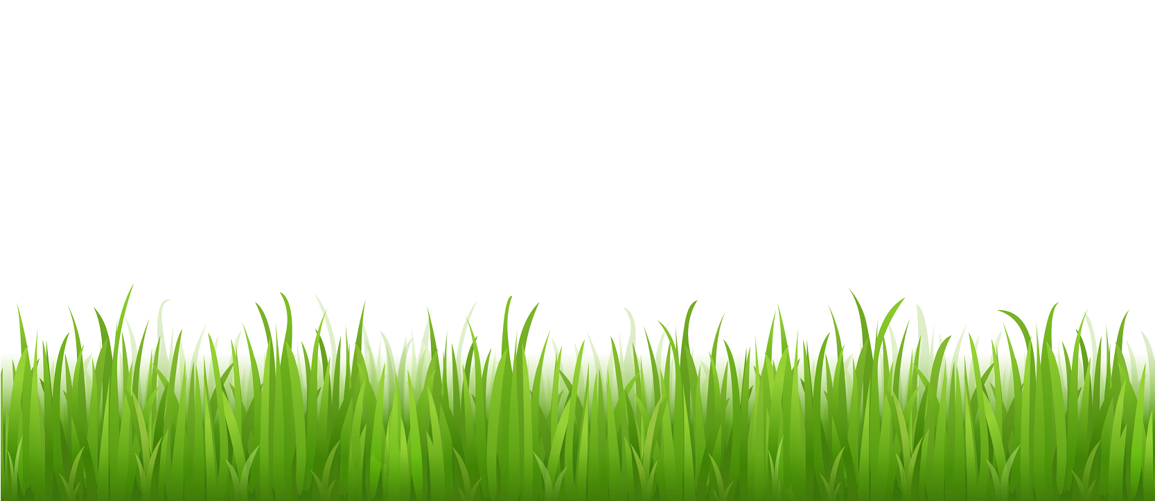 Grüner Gras-PNG-Bildhintergrund