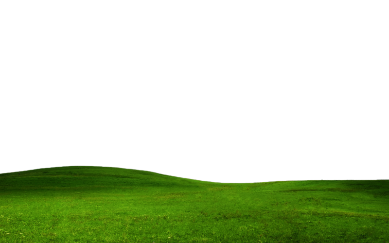 Immagine Trasparente PNG erba verde