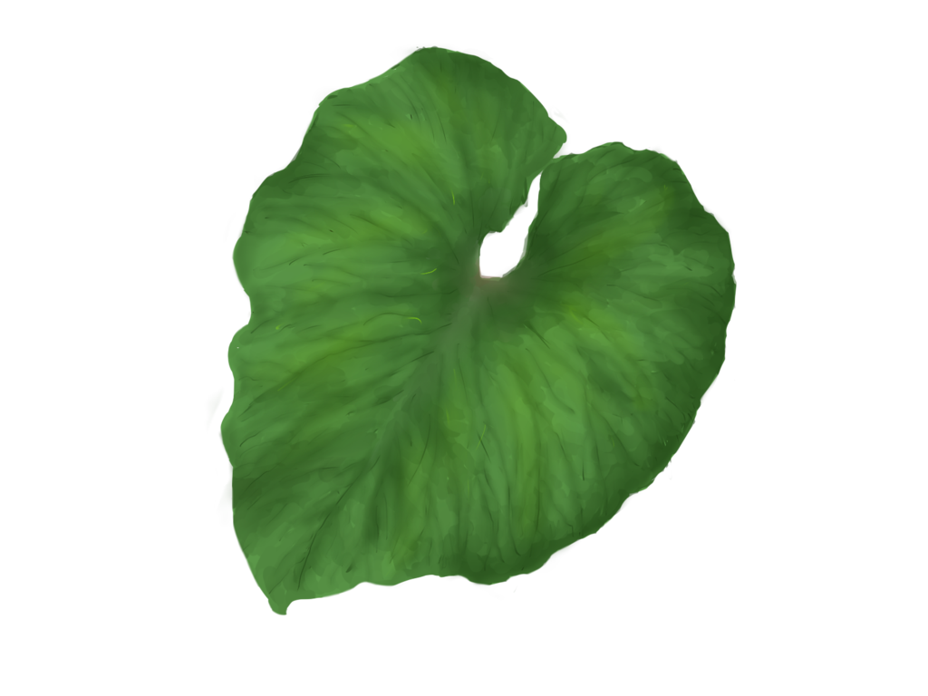 Green Leaves PNG Image with Transparent Background