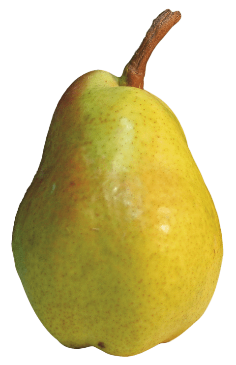 Green Pear PNG Download Image