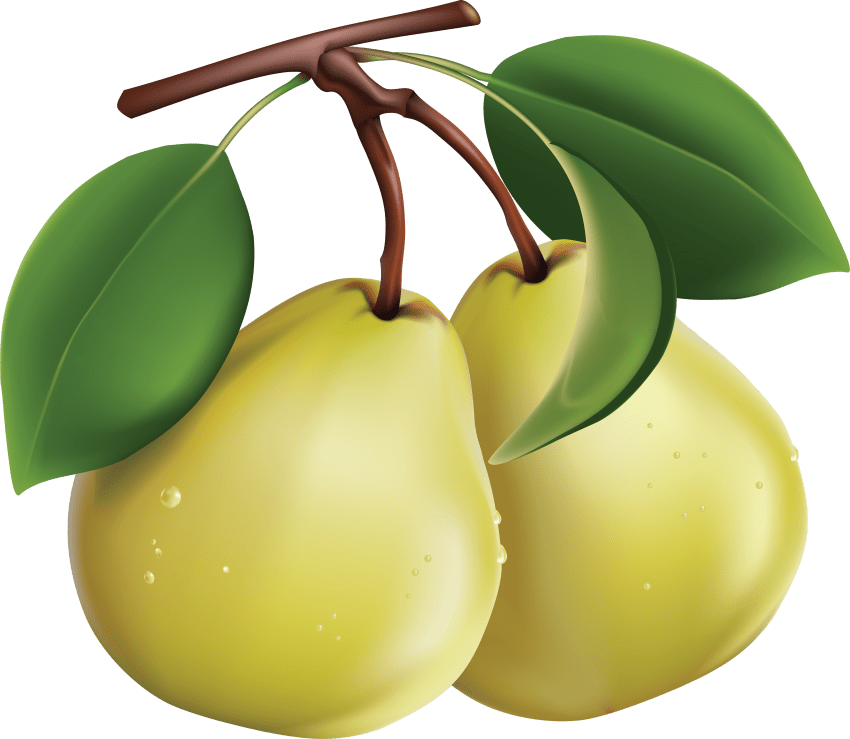 Green Pear PNG High-Quality Image