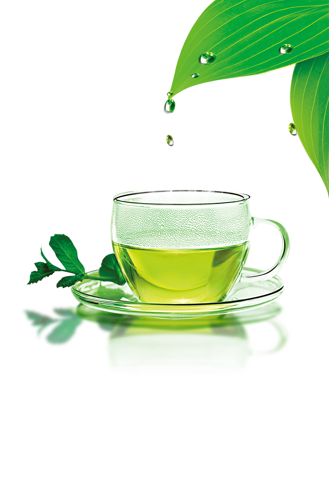Green Tea PNG Download Image
