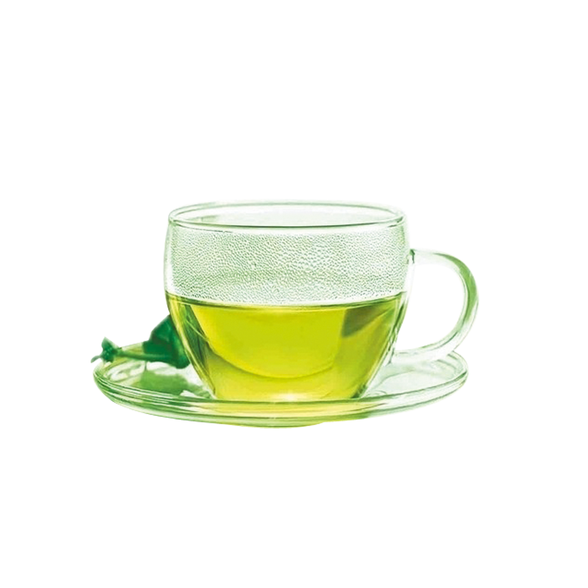 الشاي الأخضر PNG الصورة