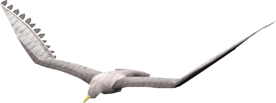 Gull PNG Transparent Image
