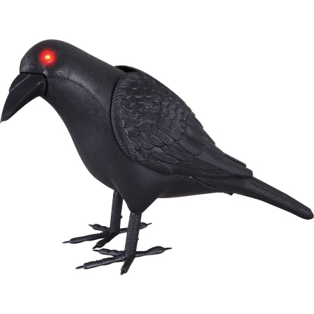 Halloween Crow Download Transparent PNG Image