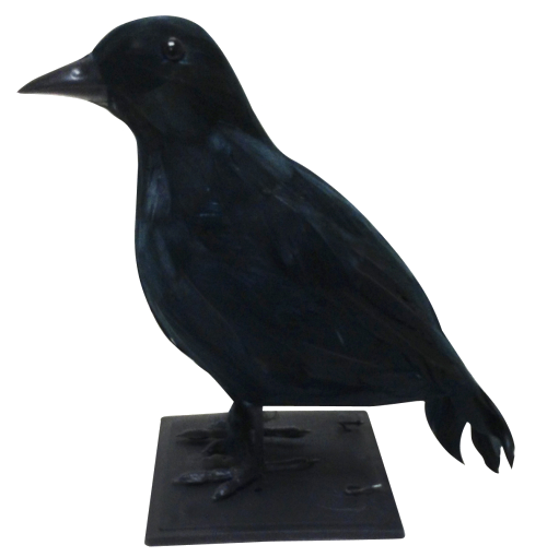 Halloween Crow PNG Background Image