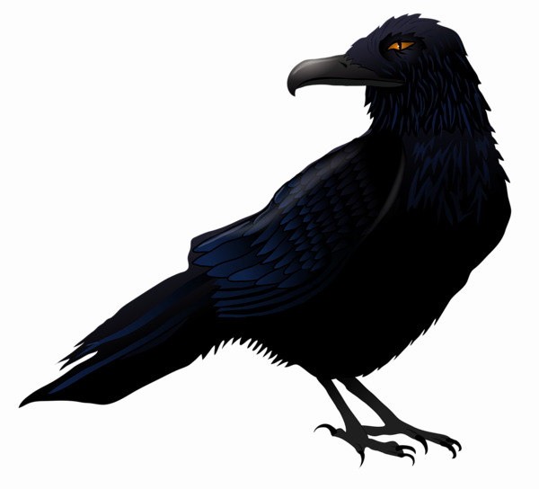 Halloween Crow PNG High-Quality Image