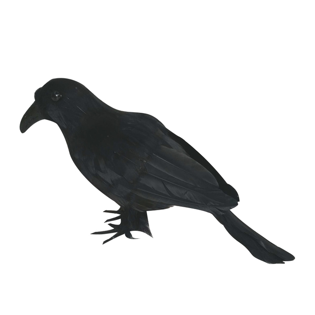 Halloween Crow PNG Image