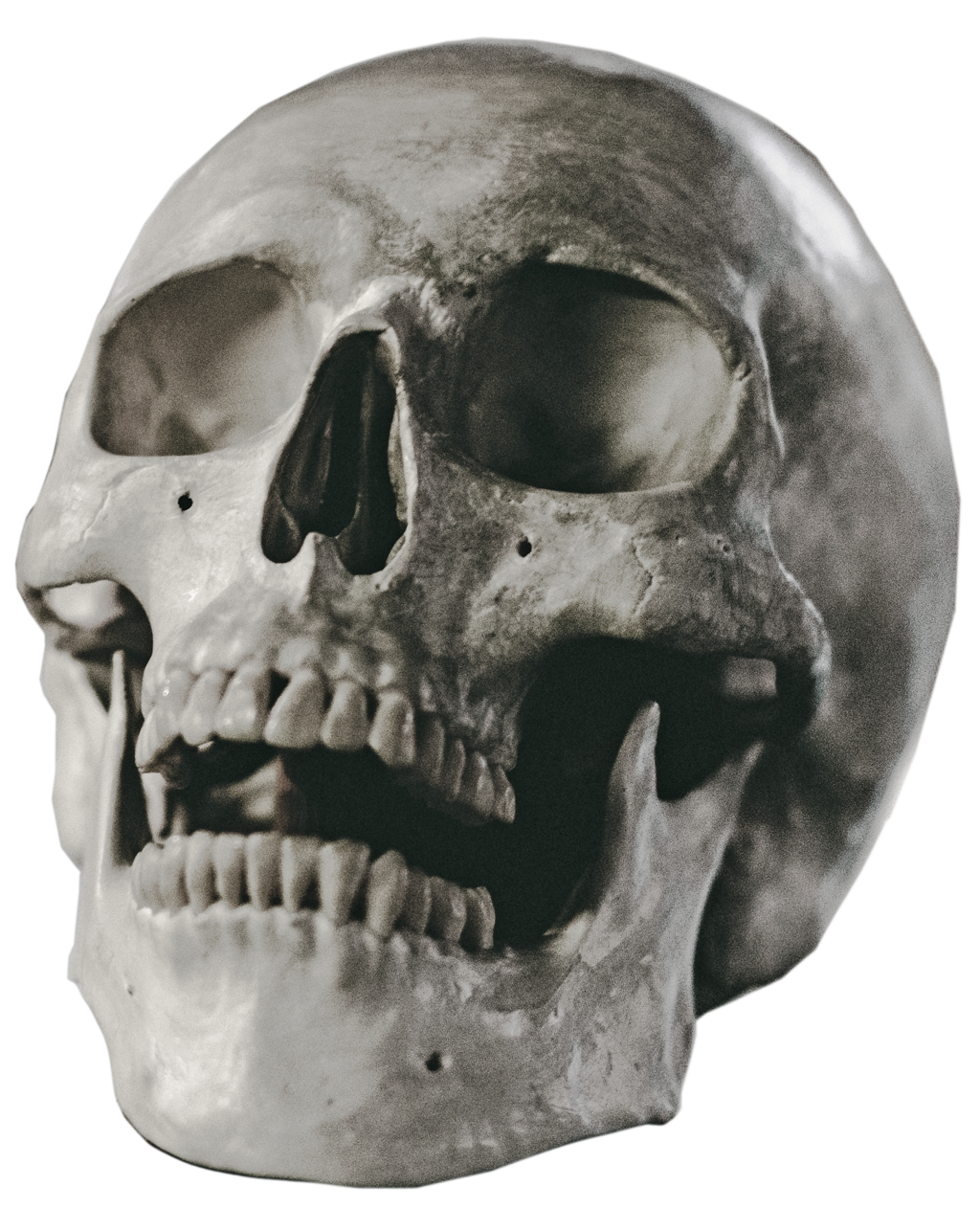 Halloween Skull PNG Background Image