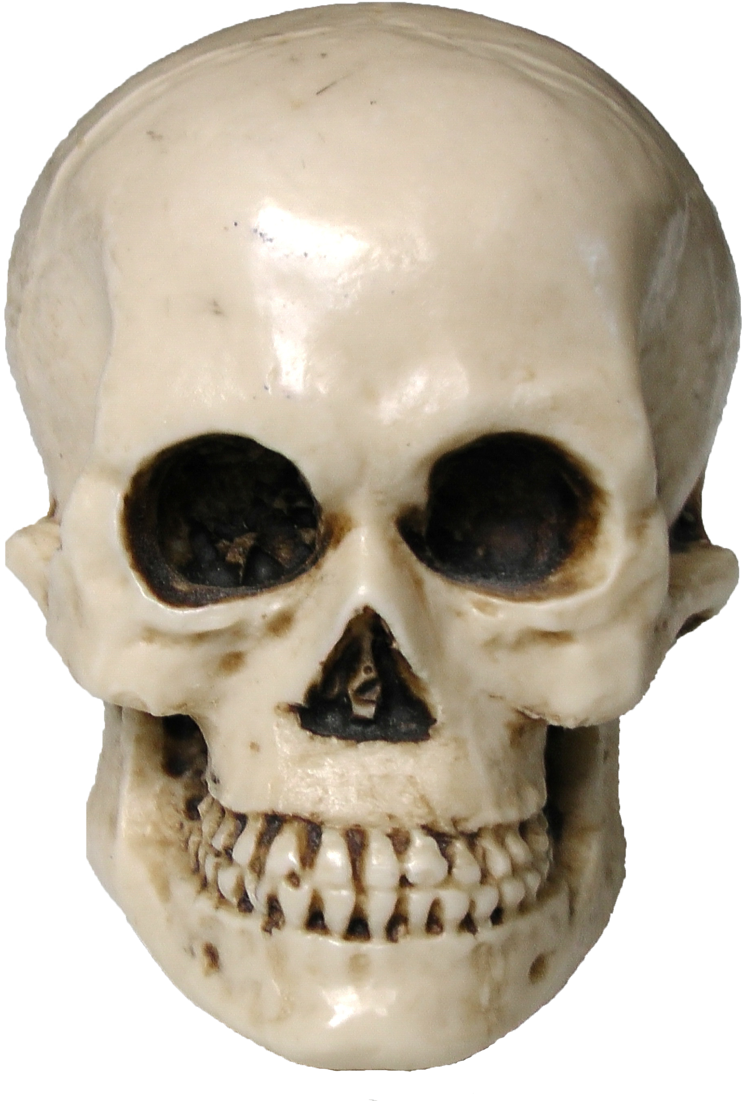 Immagine di PNG Skull di Halloween