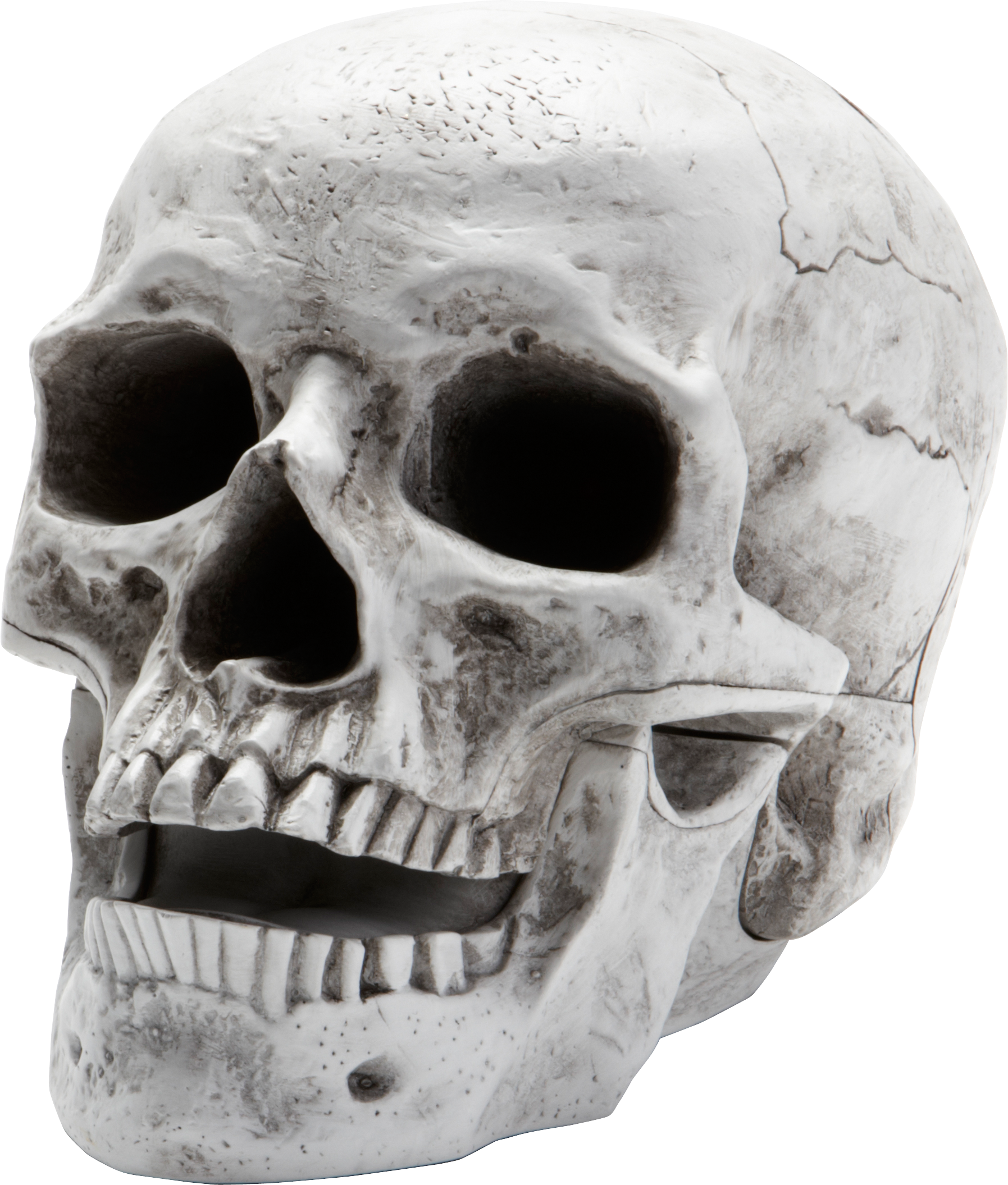 Halloween Skull Transparent Images