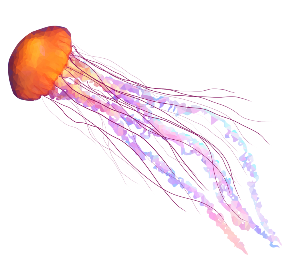 Jellyfish PNG Free Download