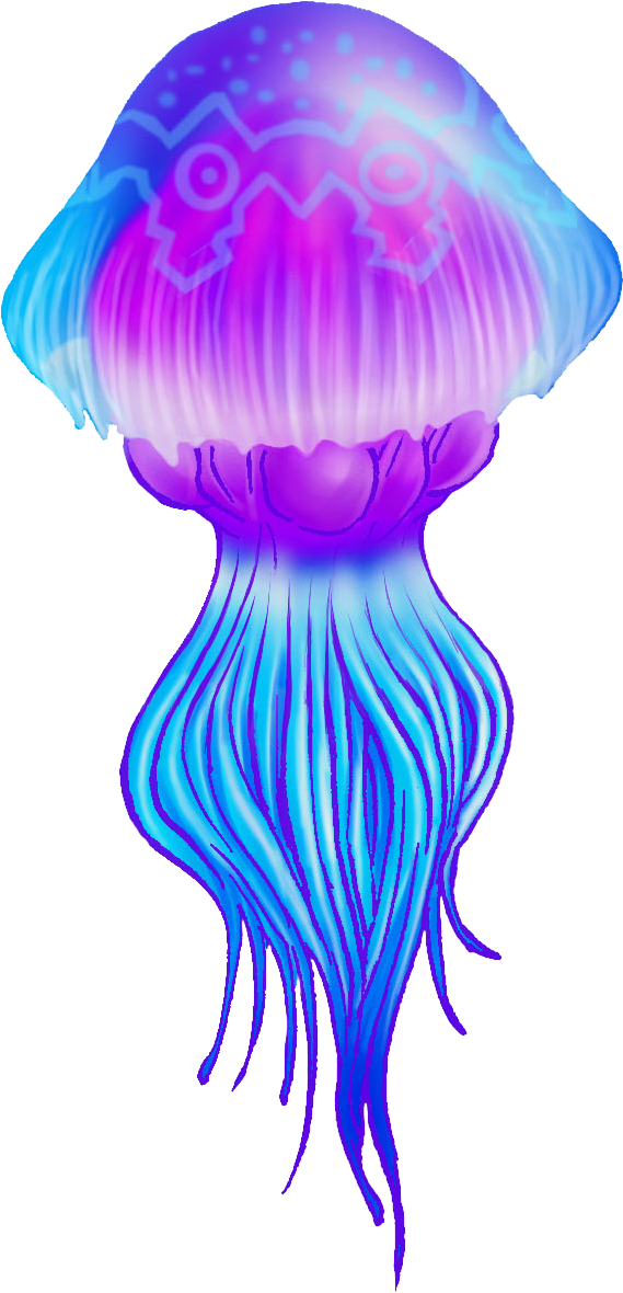 Jellyfish PNG High-Quality Image