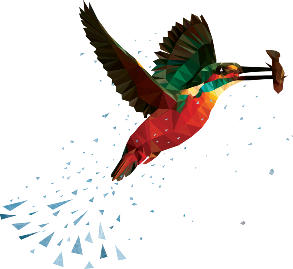 Kingfisher Bird PNG descarga gratuita