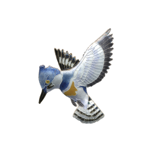 Kingfisher Bird PNG Image Background