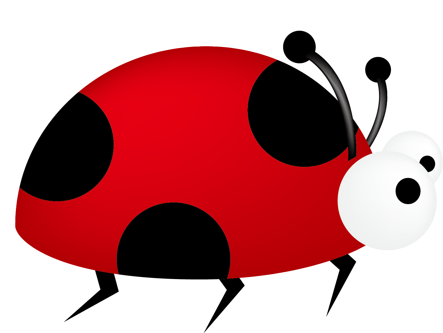 Ladybug Insect PNG Picture