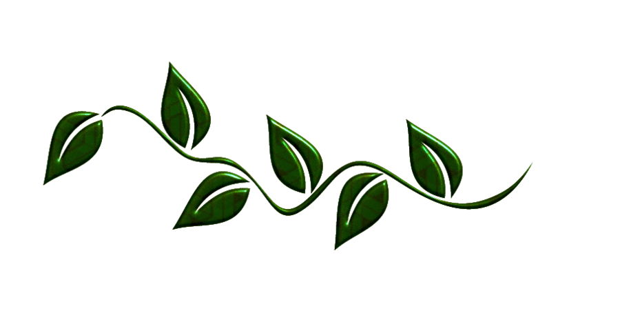 Leaf Swirl PNG Image