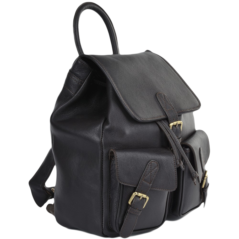 Leather Backpack PNG Image