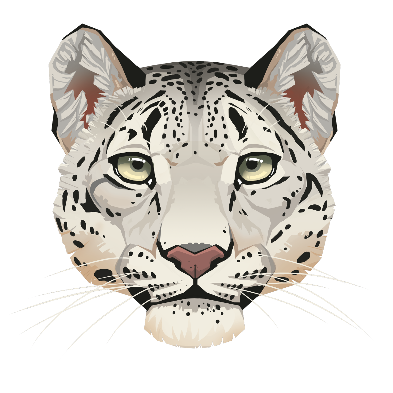 Imagem de fundo de PNG de rosto de leopardo