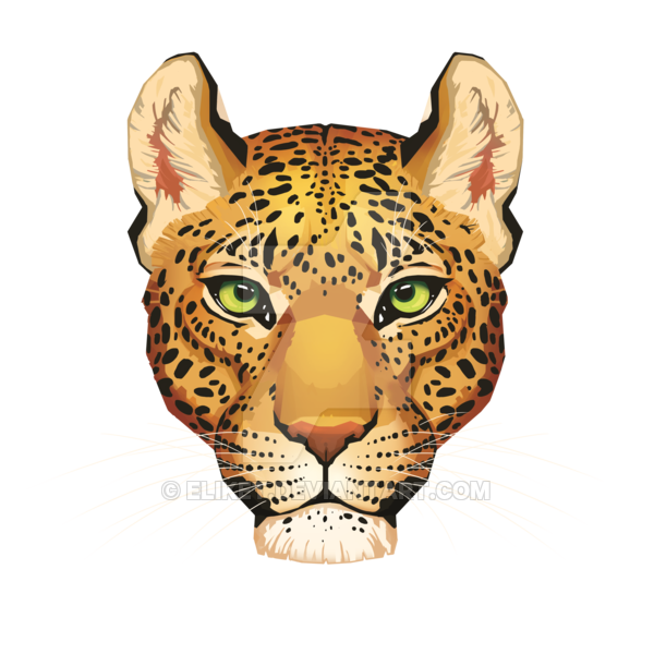 Leopard Face PNG Download Afbeelding