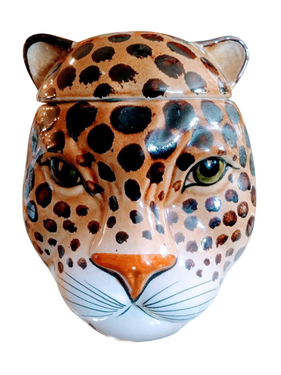 Leopard Face PNG-Afbeelding