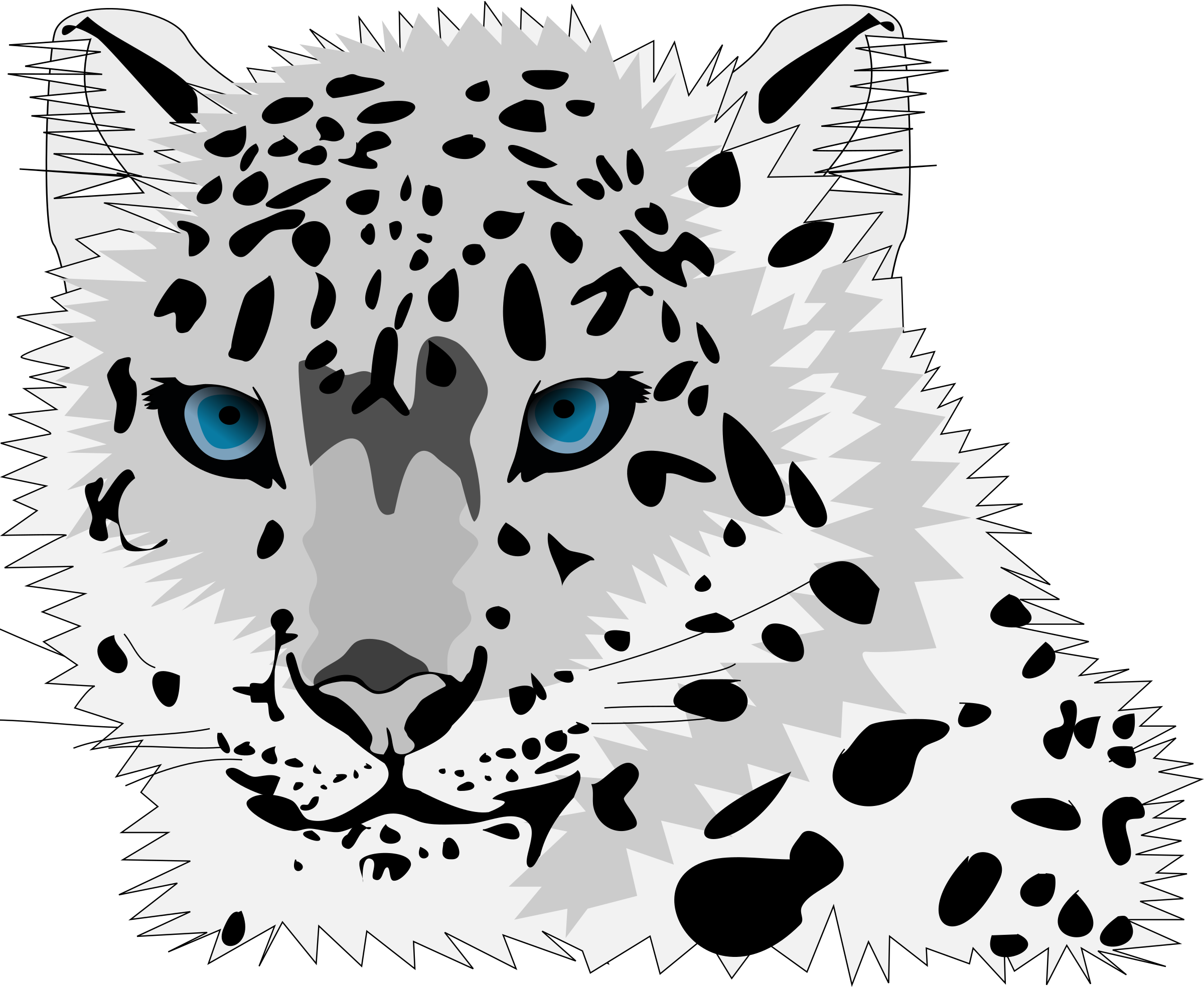 Leopard Face Transparent Images