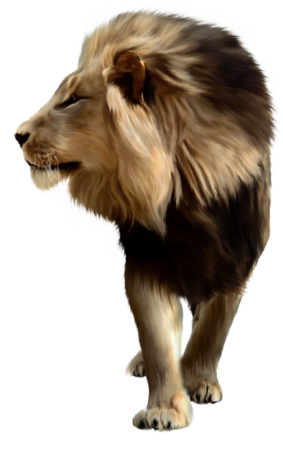 Lion Download Transparent PNG Image