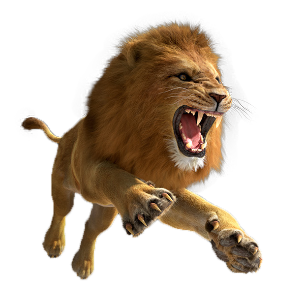 Lion PNG Pic