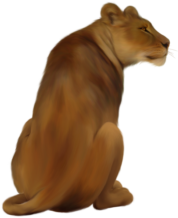 Lioness PNG Pic
