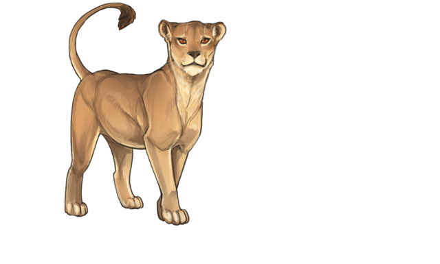 Lioness PNG Picture