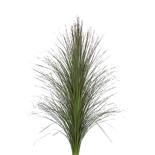 Long Rumput PNG Picture