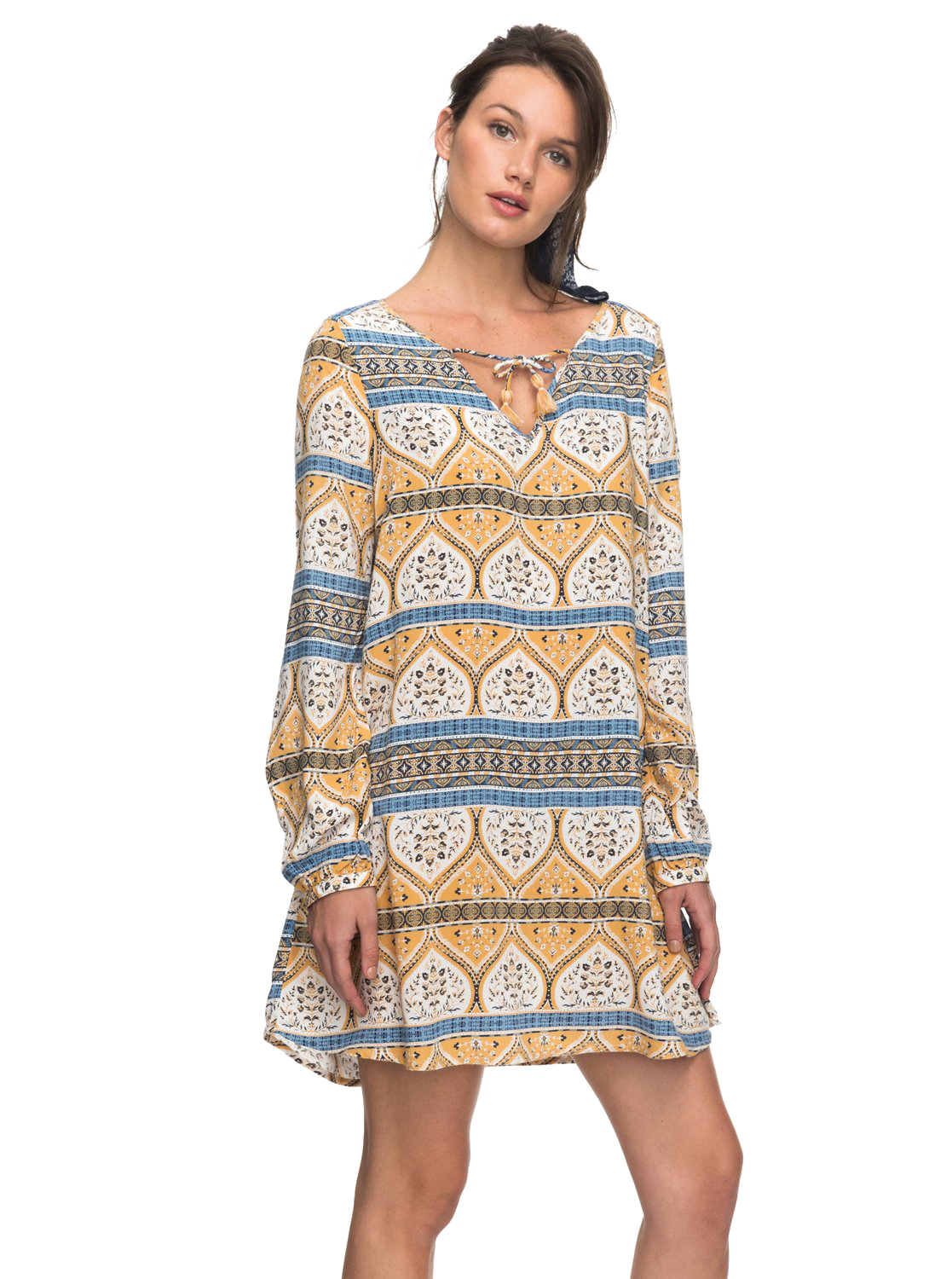Long Sleeve Dress PNG Picture