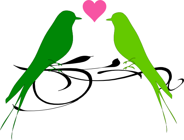 Amor pájaros PNG de alta calidad