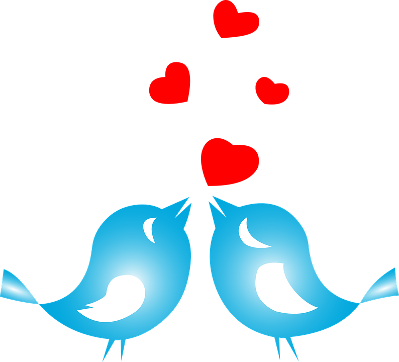 Love Birds PNG Image with Transparent Background