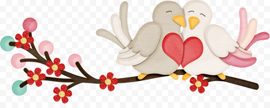 Amour oiseaux PNG image