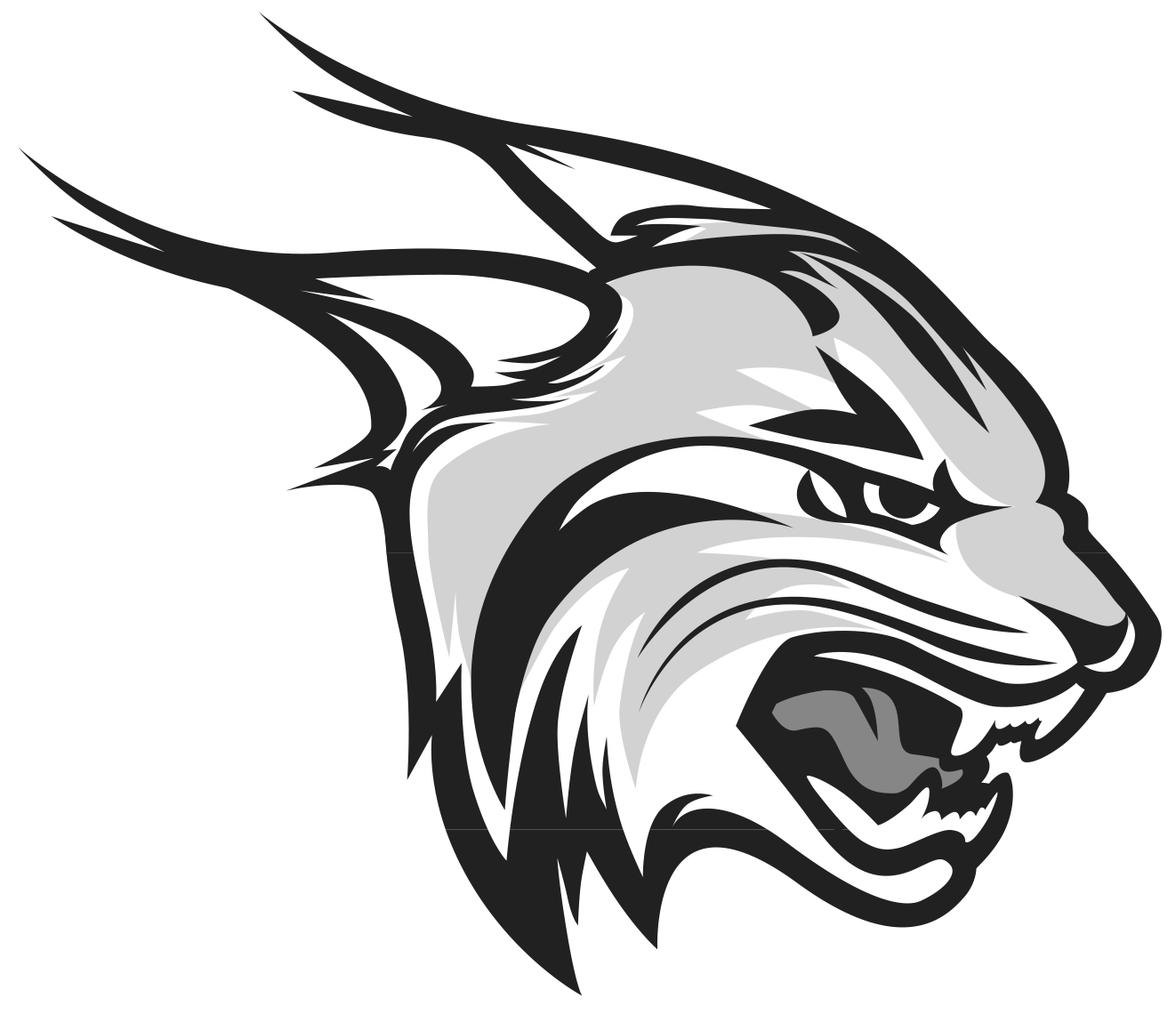 Lynx PNG High-Quality Image